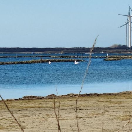 Beach Lodges Oostvoorne Eksteriør billede