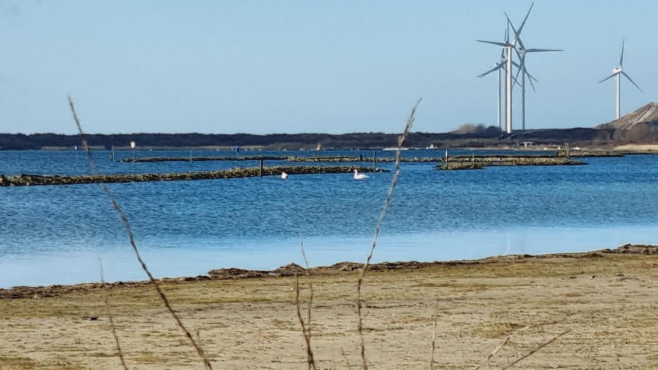 Beach Lodges Oostvoorne Eksteriør billede